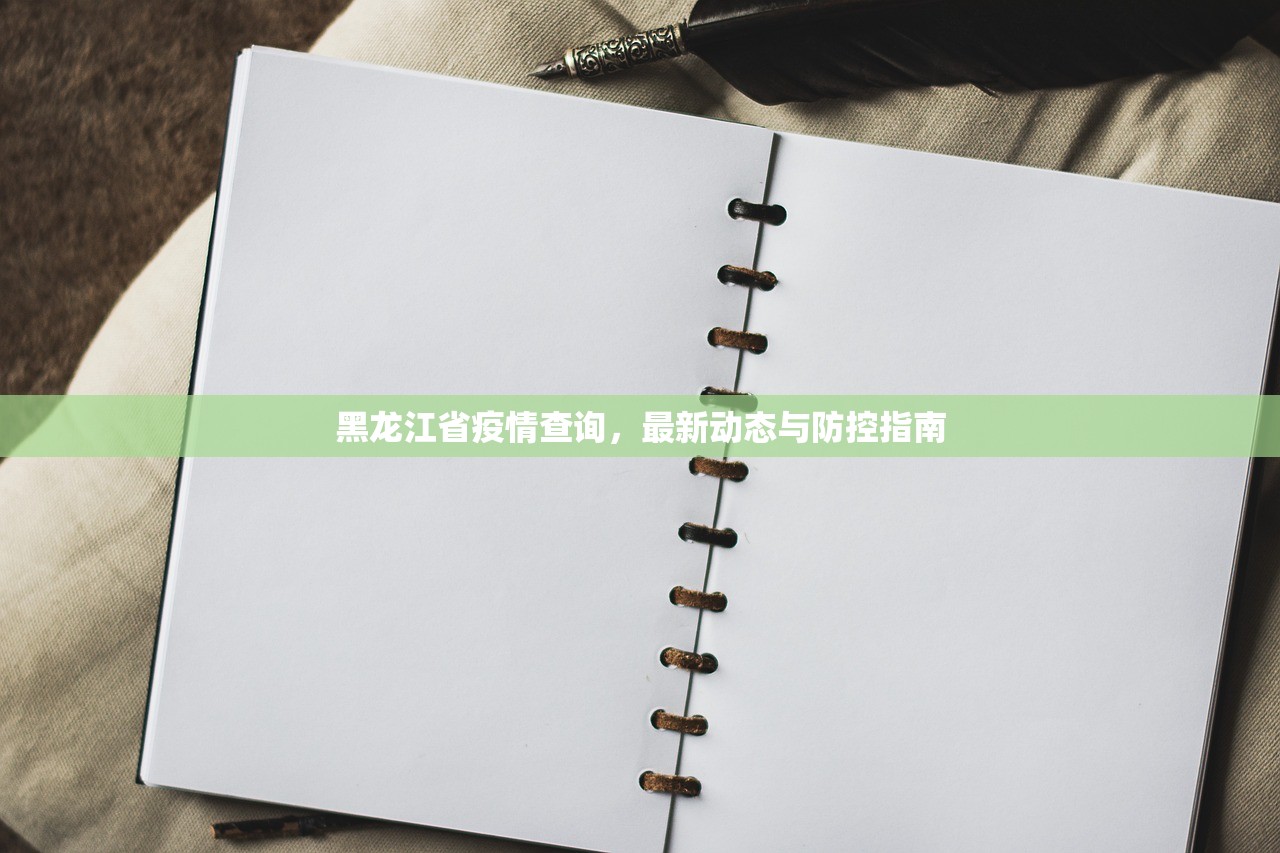 黑龙江省疫情查询，最新动态与防控指南