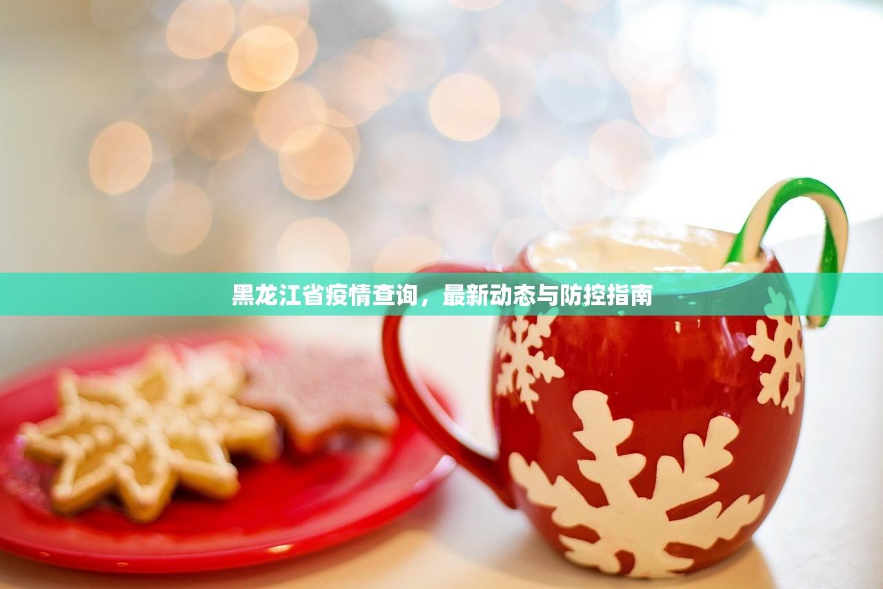 黑龙江省疫情查询，最新动态与防控指南