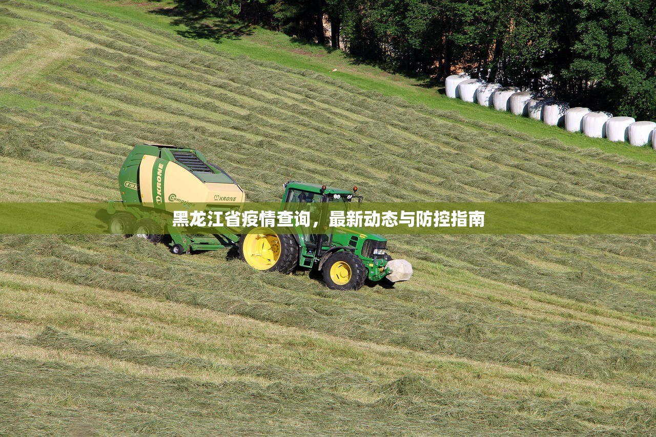 黑龙江省疫情查询，最新动态与防控指南