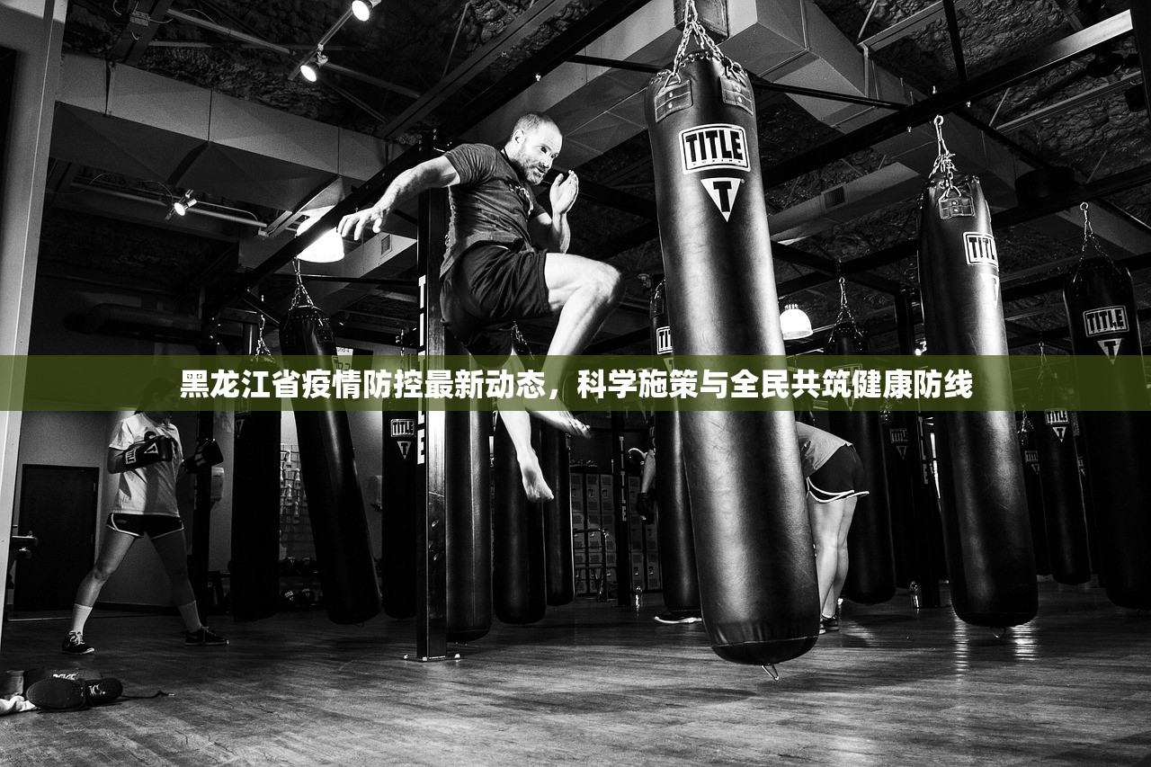 黑龙江省疫情防控最新动态，科学施策与全民共筑健康防线