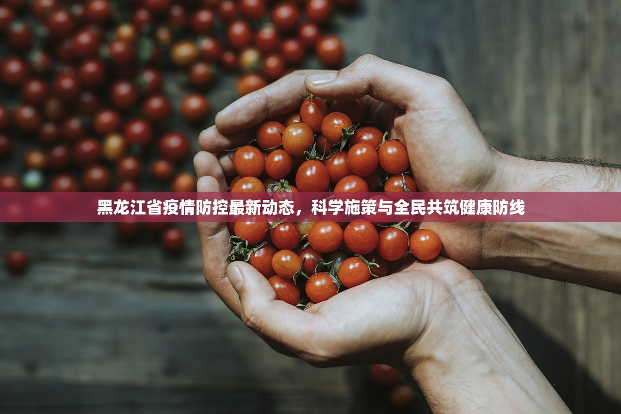 黑龙江省疫情防控最新动态，科学施策与全民共筑健康防线