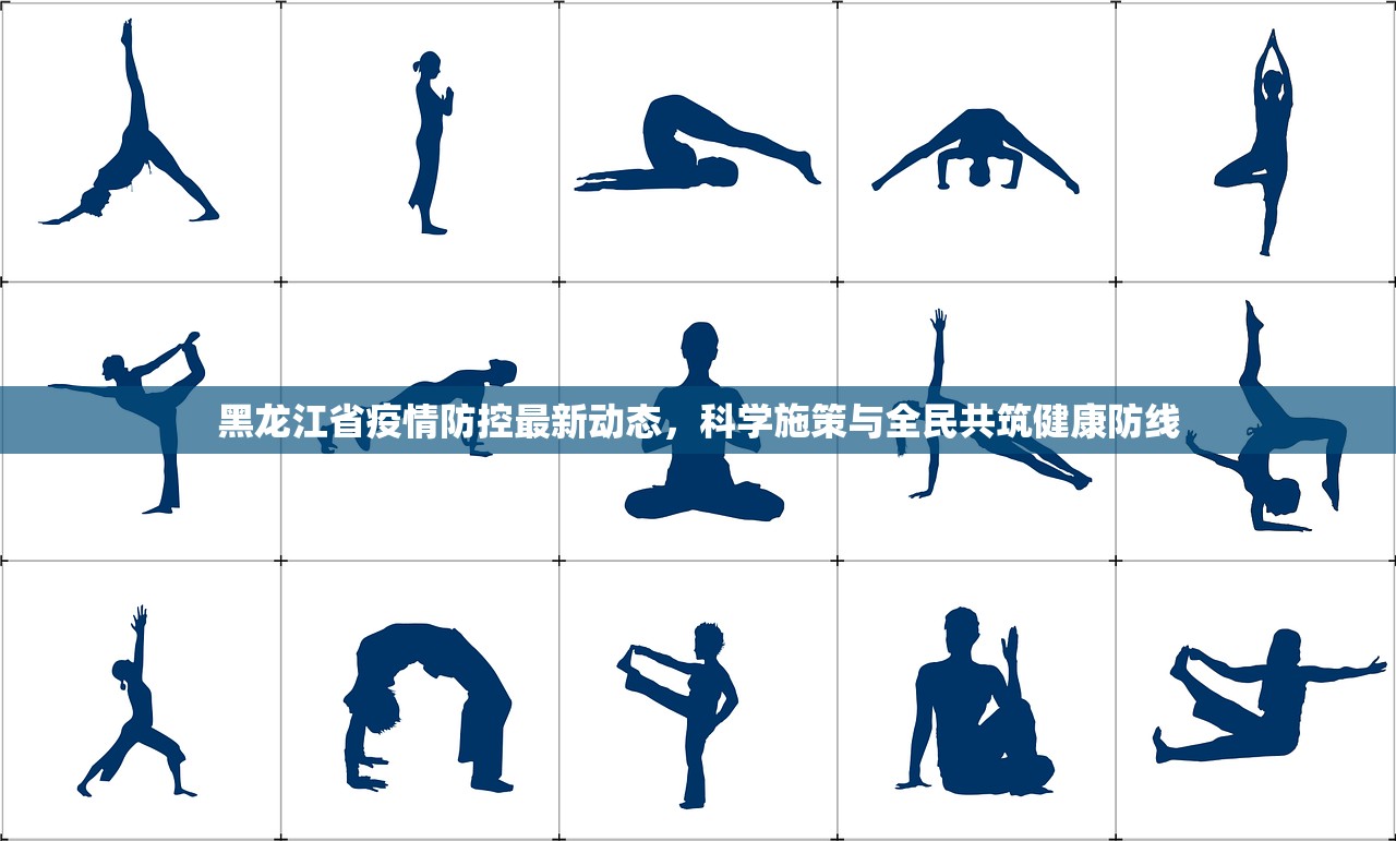 黑龙江省疫情防控最新动态，科学施策与全民共筑健康防线