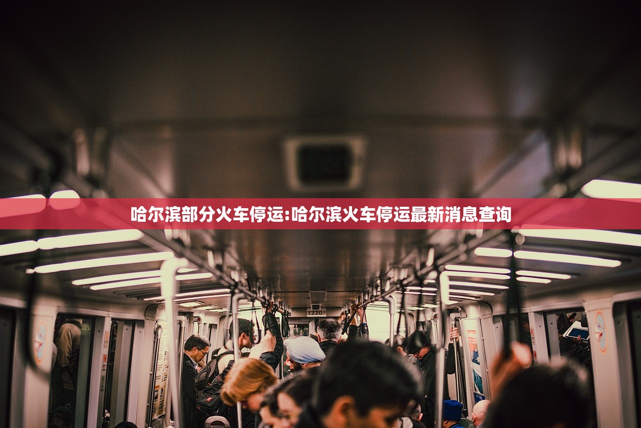 哈尔滨部分火车停运:哈尔滨火车停运最新消息查询