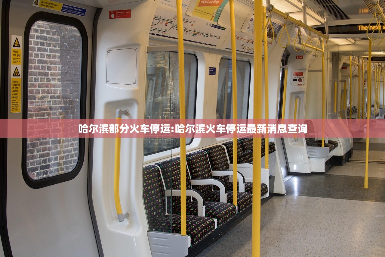 哈尔滨部分火车停运:哈尔滨火车停运最新消息查询