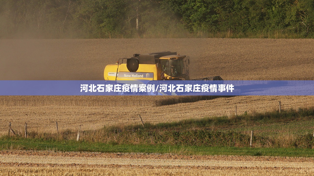 河北石家庄疫情案例/河北石家庄疫情事件 河北石家庄疫情案例/河北石家庄疫情事件