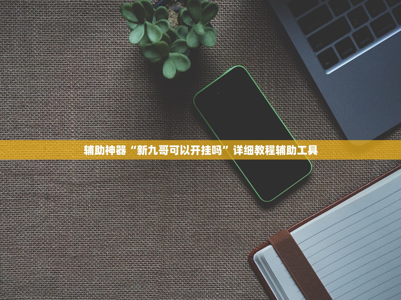 辅助神器“新九哥可以开挂吗”详细教程辅助工具
