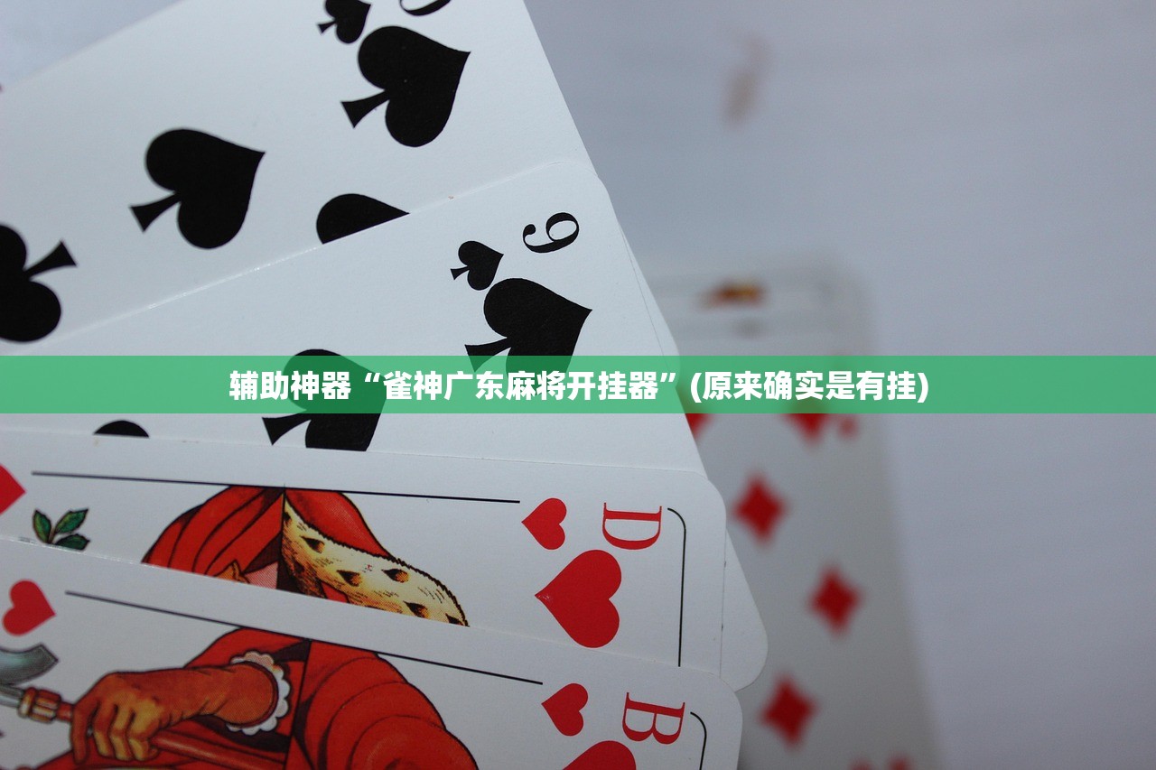 辅助神器“雀神广东麻将开挂器”(原来确实是有挂)