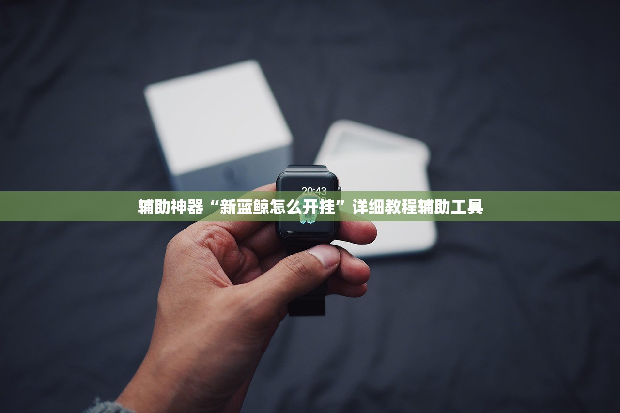 辅助神器“新蓝鲸怎么开挂”详细教程辅助工具