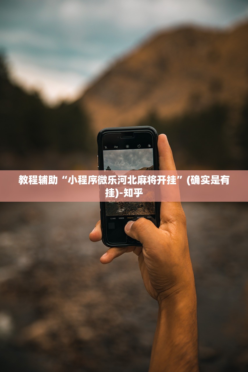 教程辅助“小程序微乐河北麻将开挂”(确实是有挂)-知乎