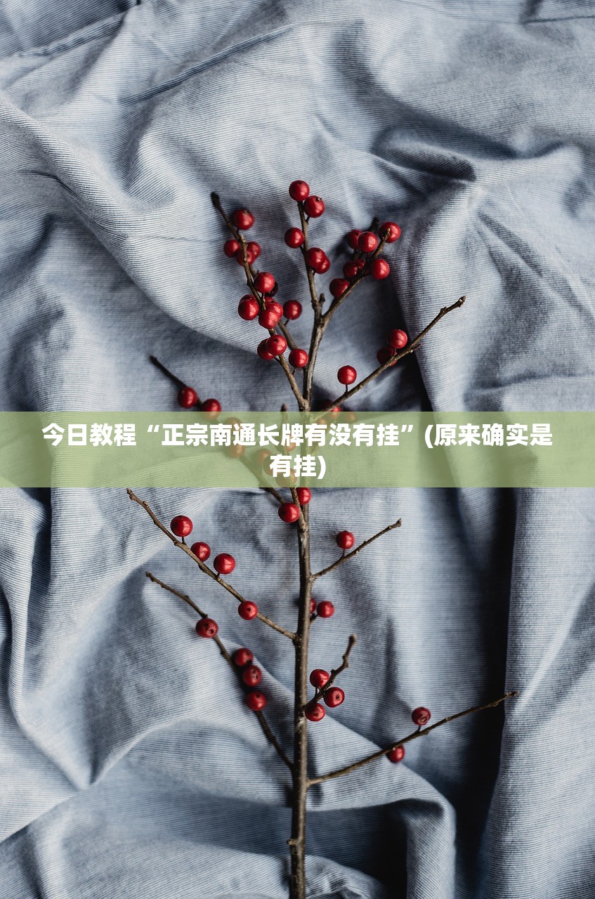 今日教程“正宗南通长牌有没有挂”(原来确实是有挂)