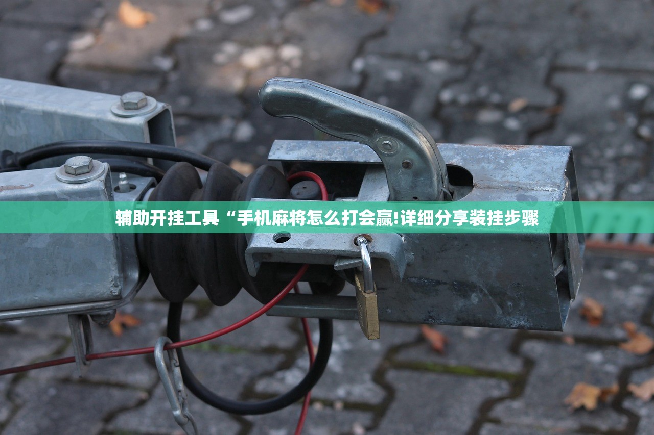 辅助开挂工具“手机麻将怎么打会赢!详细分享装挂步骤 辅助开挂工具“手机麻将怎么打会赢!详细分享装挂步骤