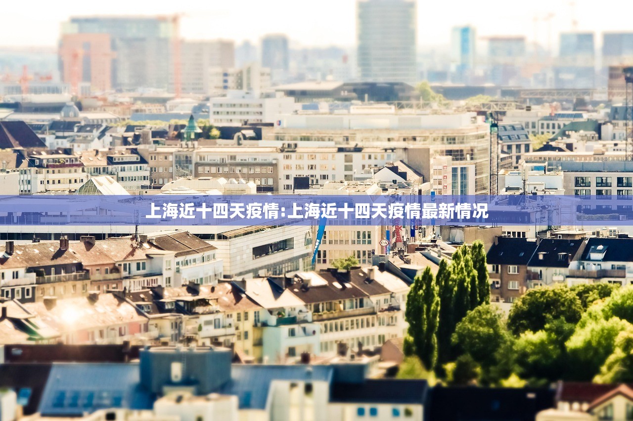 上海近十四天疫情:上海近十四天疫情最新情况