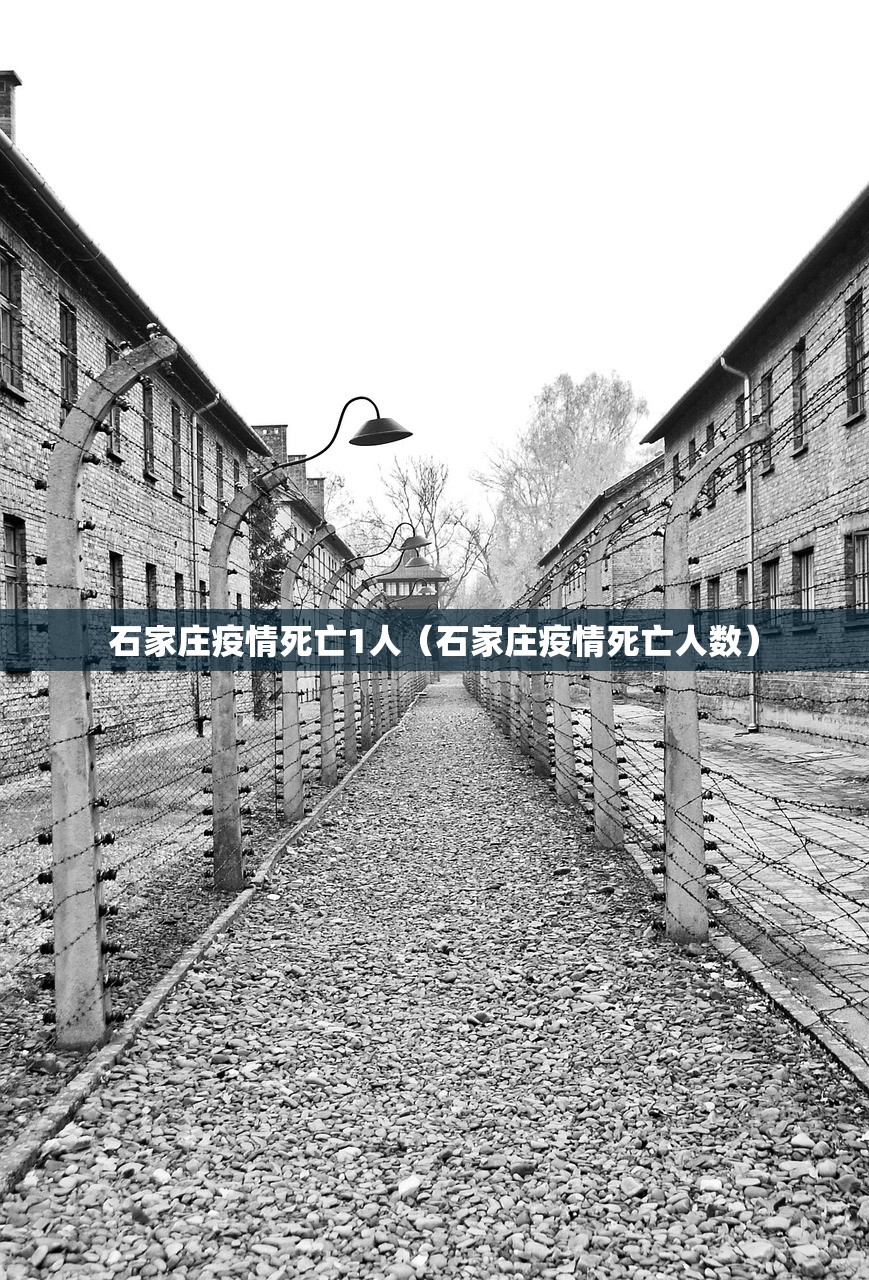石家庄疫情死亡1人（石家庄疫情死亡人数）