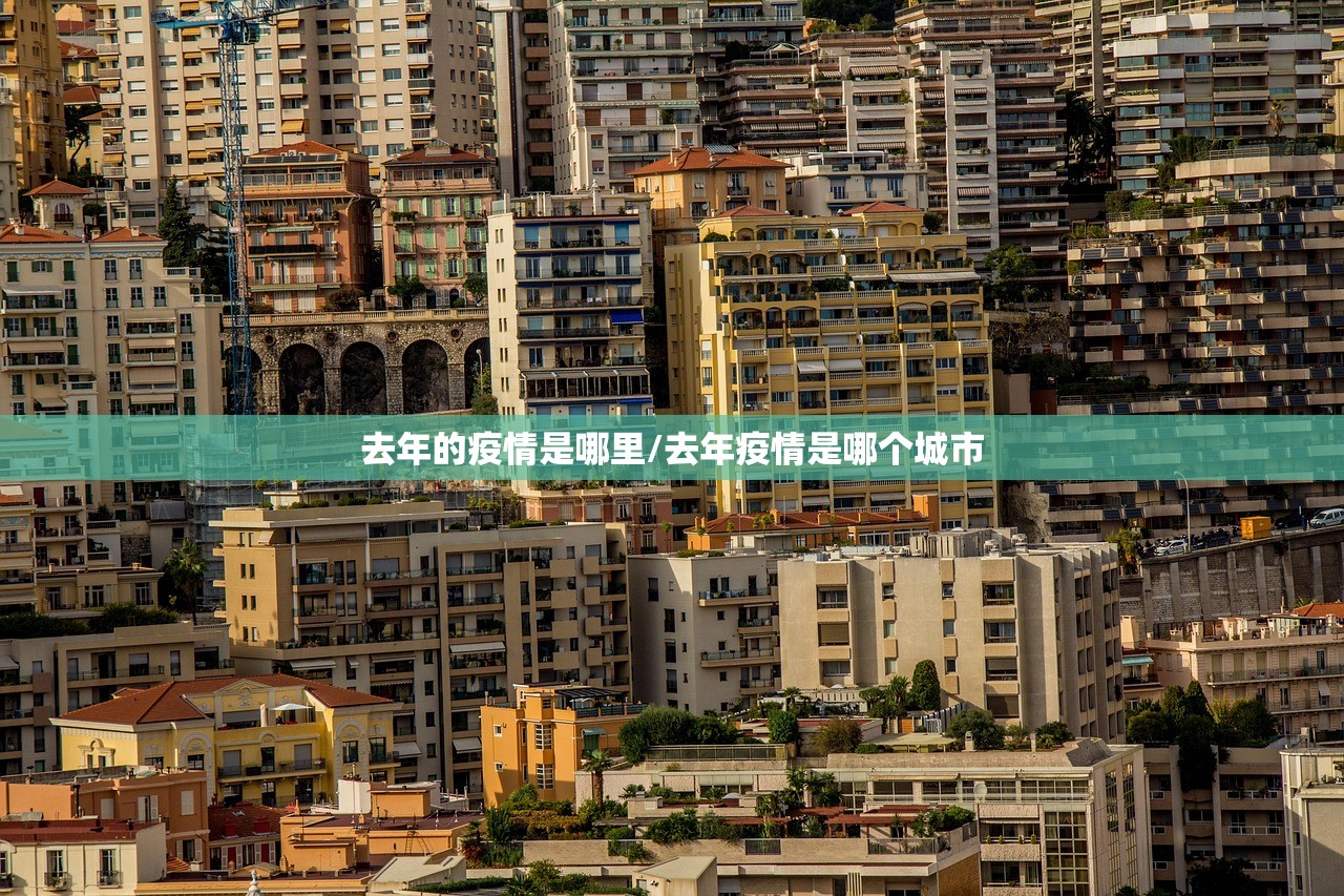去年的疫情是哪里/去年疫情是哪个城市