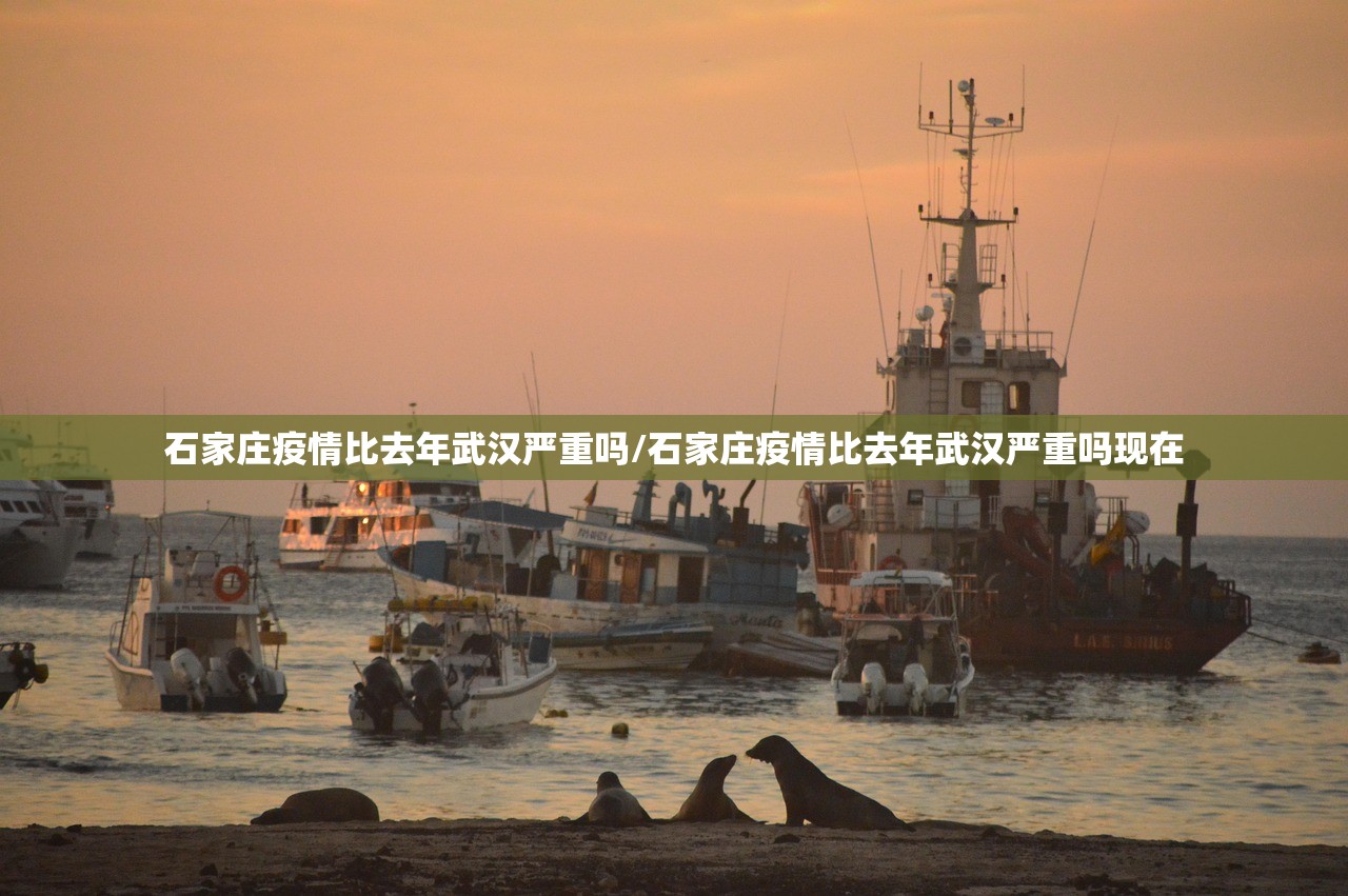 石家庄疫情比去年武汉严重吗/石家庄疫情比去年武汉严重吗现在