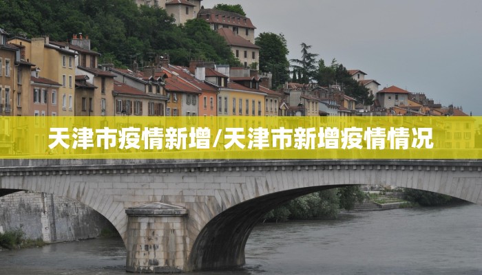 天津市疫情新增/天津市新增疫情情况
