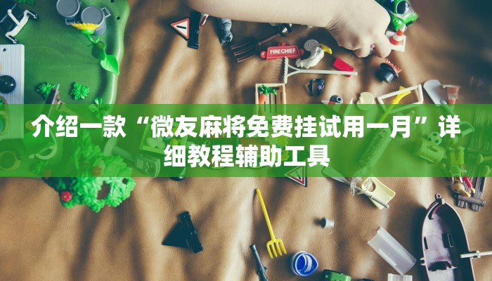 介绍一款“微友麻将免费挂试用一月”详细教程辅助工具