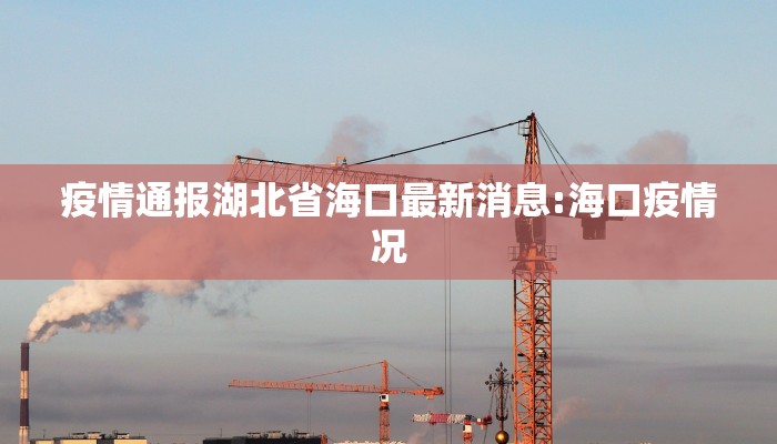 疫情通报湖北省海口最新消息:海口疫情况