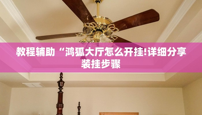 教程辅助“鸿狐大厅怎么开挂!详细分享装挂步骤