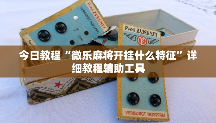 今日教程“微乐麻将开挂什么特征”详细教程辅助工具