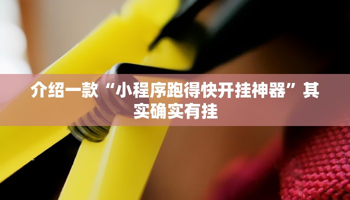 介绍一款“小程序跑得快开挂神器”其实确实有挂