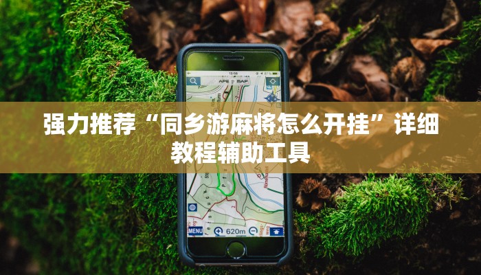 强力推荐“同乡游麻将怎么开挂”详细教程辅助工具