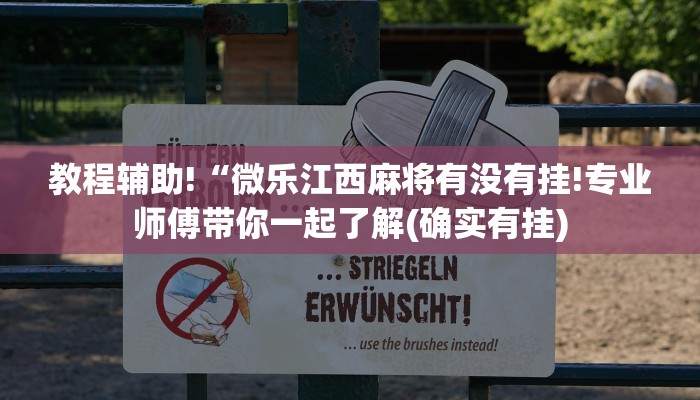 教程辅助!“微乐江西麻将有没有挂!专业师傅带你一起了解(确实有挂)