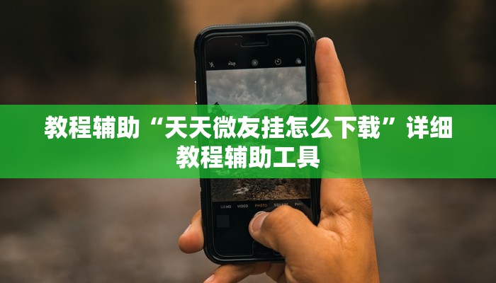 教程辅助“天天微友挂怎么下载”详细教程辅助工具
