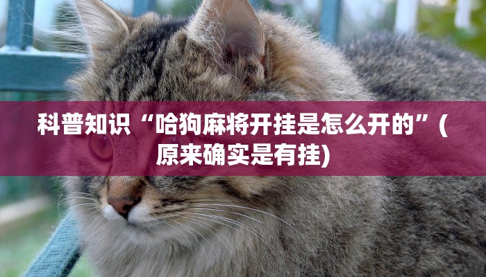 科普知识“哈狗麻将开挂是怎么开的”(原来确实是有挂)