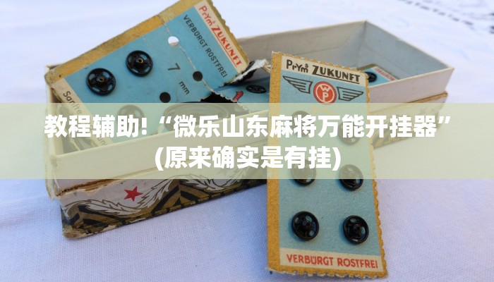 教程辅助!“微乐山东麻将万能开挂器”(原来确实是有挂)