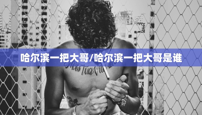 哈尔滨一把大哥/哈尔滨一把大哥是谁