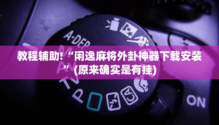 教程辅助!“闲逸麻将外卦神器下载安装”(原来确实是有挂)