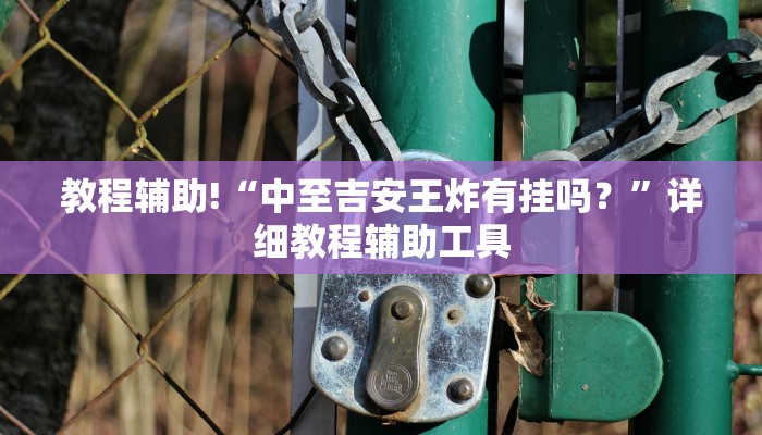 教程辅助!“中至吉安王炸有挂吗？”详细教程辅助工具