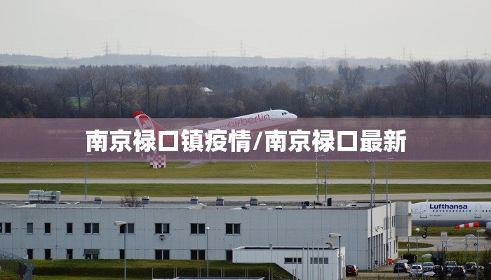 南京禄口镇疫情/南京禄口最新