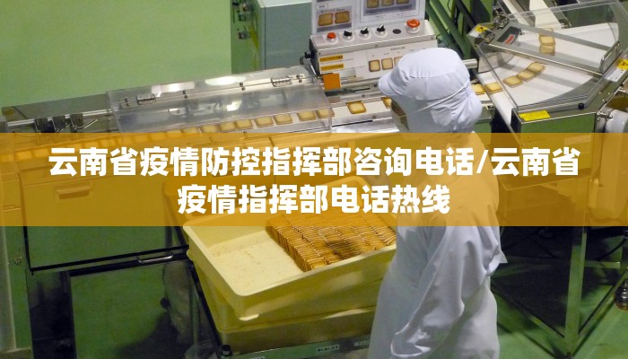云南省疫情防控指挥部咨询电话/云南省疫情指挥部电话热线