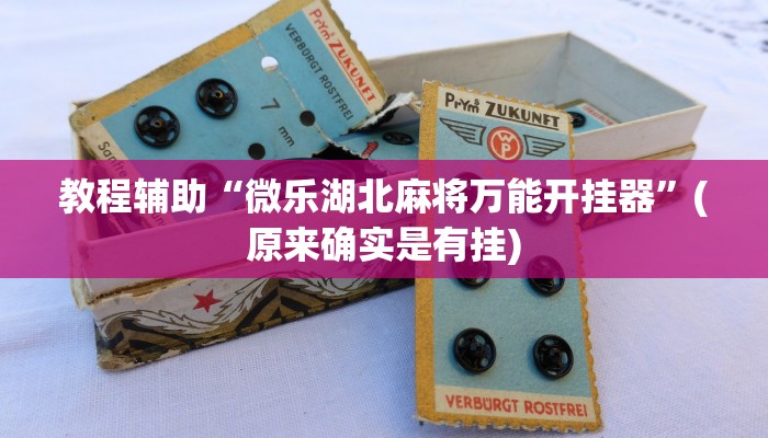 教程辅助“微乐湖北麻将万能开挂器”(原来确实是有挂)