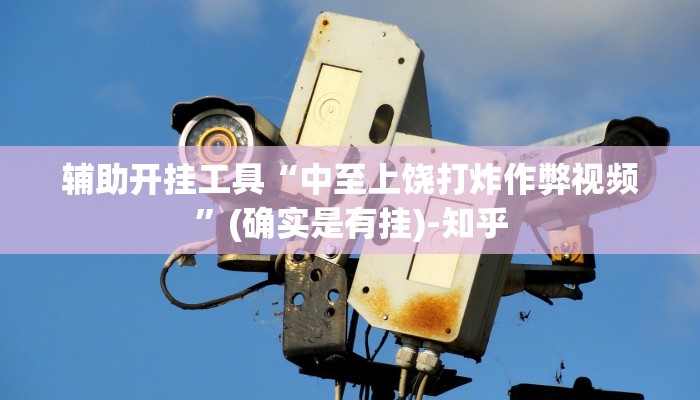 辅助开挂工具“中至上饶打炸作弊视频”(确实是有挂)-知乎
