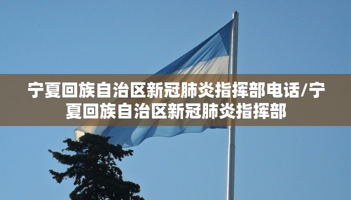 宁夏回族自治区新冠肺炎指挥部电话/宁夏回族自治区新冠肺炎指挥部
