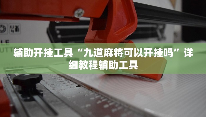 辅助开挂工具“九道麻将可以开挂吗”详细教程辅助工具