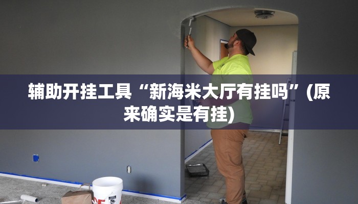 辅助开挂工具“新海米大厅有挂吗”(原来确实是有挂)