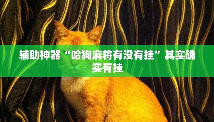 辅助神器“哈狗麻将有没有挂”其实确实有挂