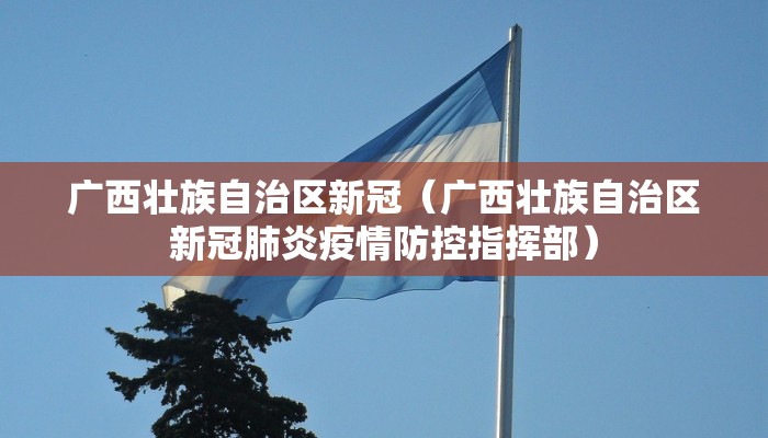 广西壮族自治区新冠（广西壮族自治区新冠肺炎疫情防控指挥部）