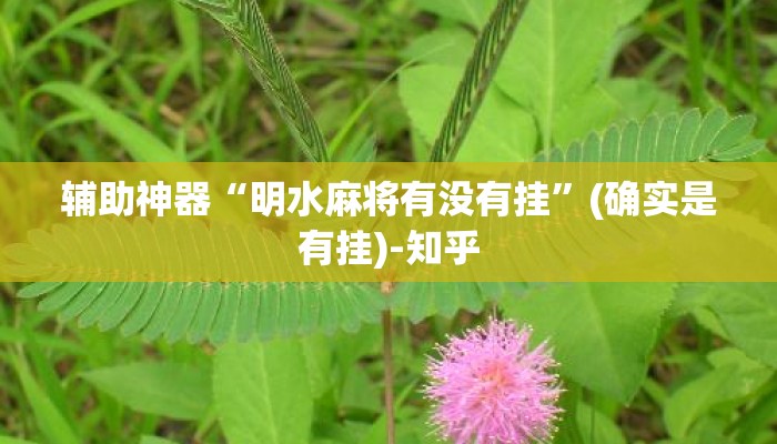 辅助神器“明水麻将有没有挂”(确实是有挂)-知乎