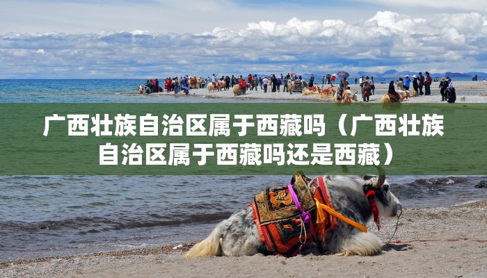 广西壮族自治区属于西藏吗（广西壮族自治区属于西藏吗还是西藏）