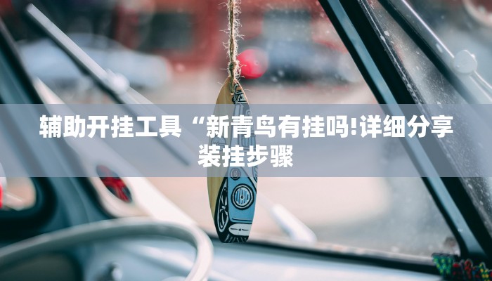 辅助开挂工具“新青鸟有挂吗!详细分享装挂步骤