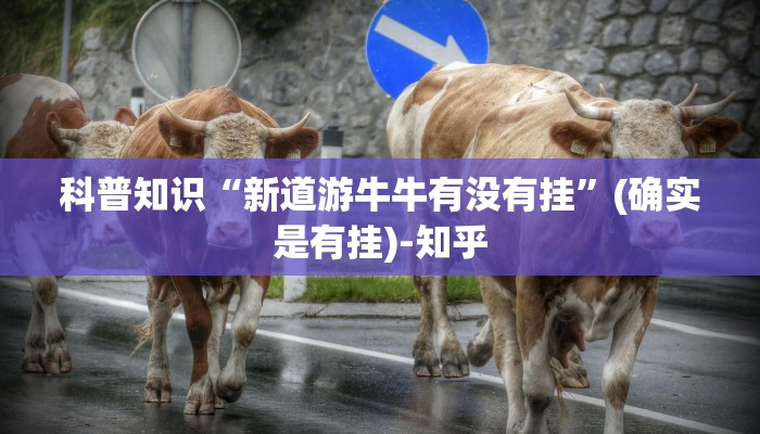 科普知识“新道游牛牛有没有挂”(确实是有挂)-知乎