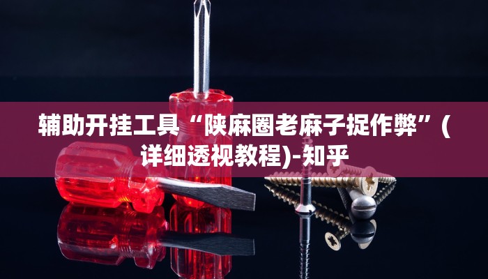 辅助开挂工具“陕麻圈老麻子捉作弊”(详细透视教程)-知乎