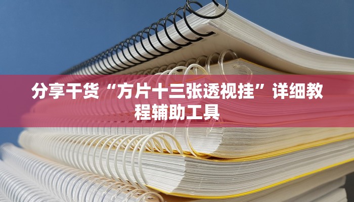 分享干货“方片十三张透视挂”详细教程辅助工具