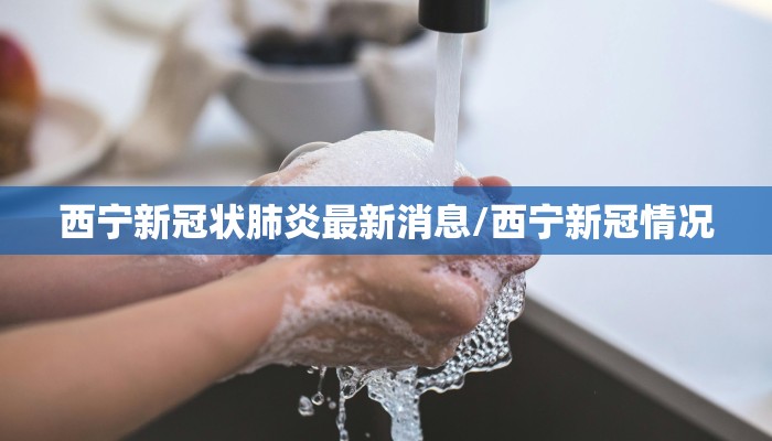 西宁新冠状肺炎最新消息/西宁新冠情况