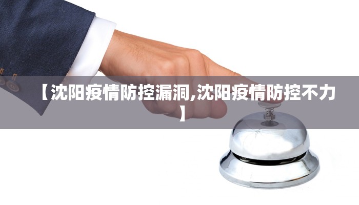 【沈阳疫情防控漏洞,沈阳疫情防控不力】